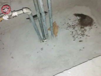 鄱阳卫生间测漏水价格明细